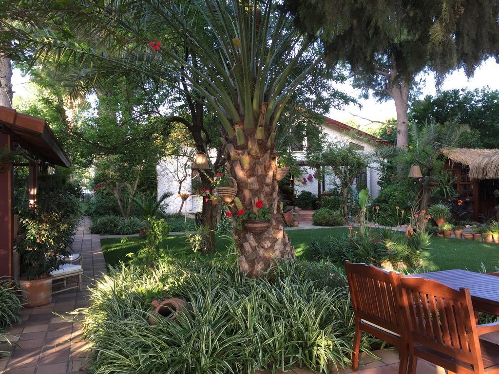 Hotel Happy Caretta Дальян Экстерьер фото