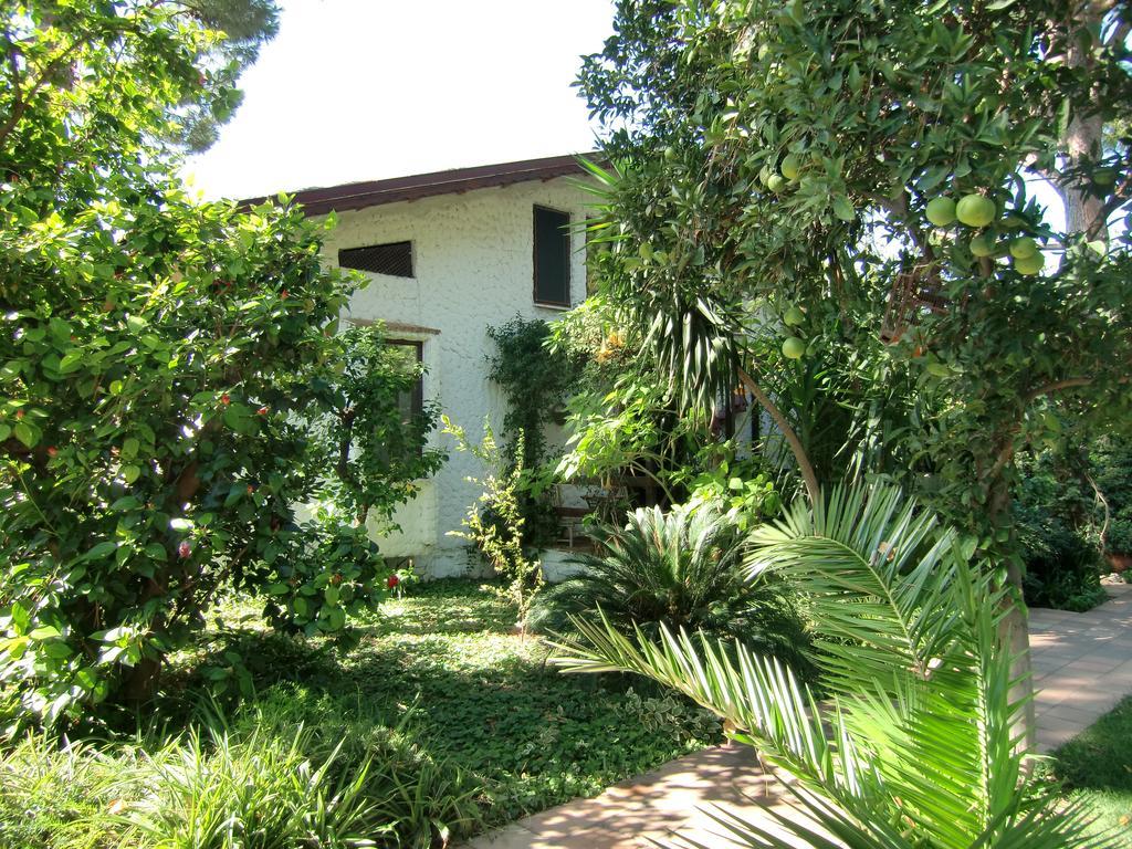 Hotel Happy Caretta Дальян Экстерьер фото